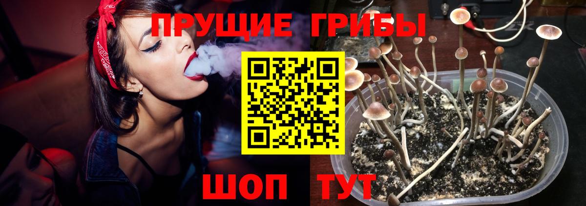 Галлюциногенные грибы Magic Shrooms  Псилоцибиновые грибы мухоморы  Вход с VPN  Миасс 